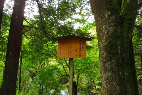 飛騨乗鞍信仰の歴史探索ツアー！！_a0353718_19181330.jpg