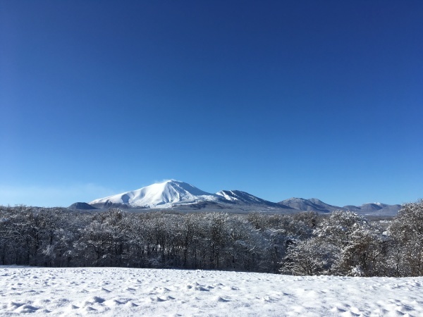 積雪約15cm!ノーマルタイヤでは危険です(2019年12月23日)_b0174425_01522608.jpeg