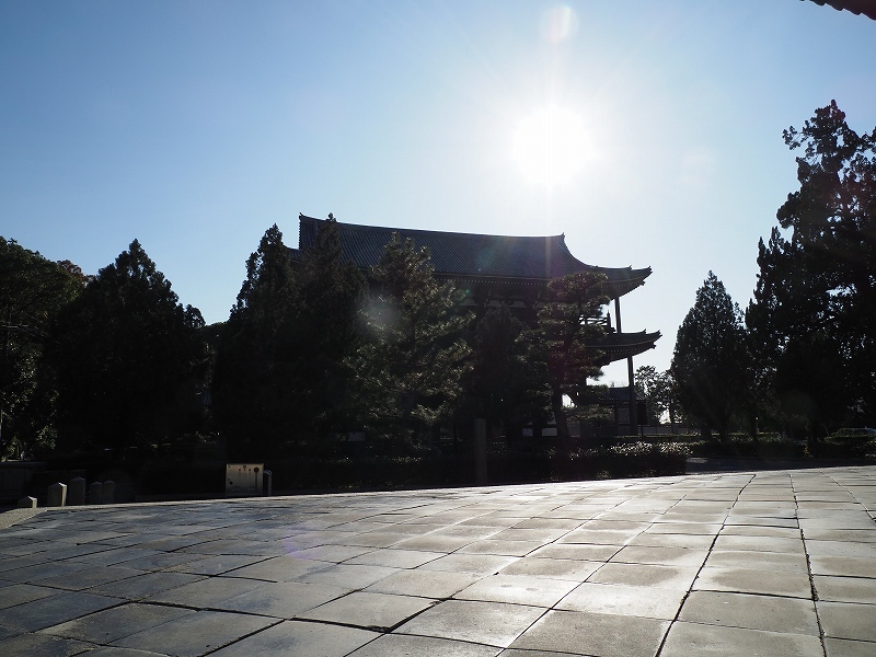 方丈庭園へ向かう_e0374932_08142769.jpg