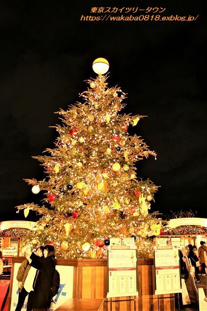 東京スカイツリ-よりメリークリスマス(^^♪_e0052135_10060796.jpg