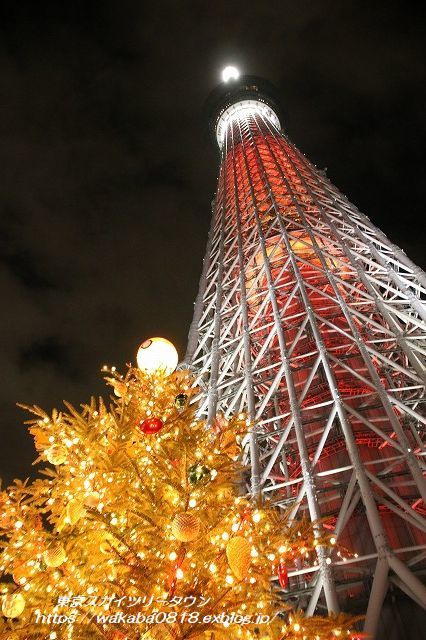 東京スカイツリ-よりメリークリスマス(^^♪_e0052135_10061877.jpg