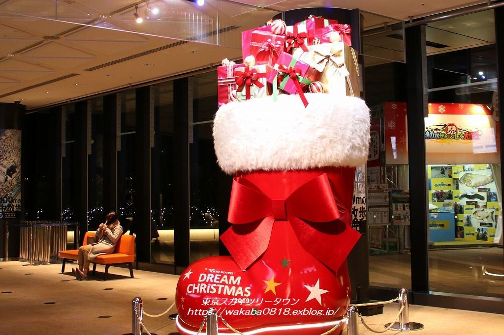 東京スカイツリ-よりメリークリスマス(^^♪_e0052135_10062571.jpg