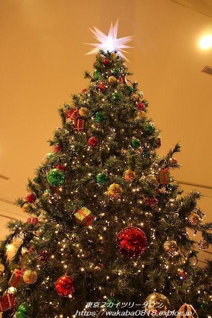 東京スカイツリ-よりメリークリスマス・・ソラマチのツリ-_e0052135_10251730.jpg