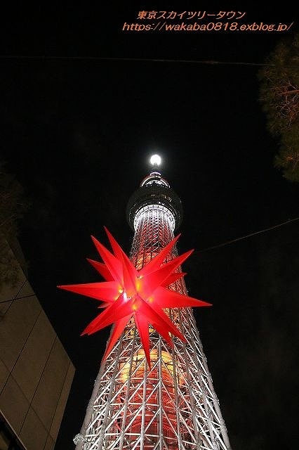 東京スカイツリ-よりメリークリスマス・・ソラマチのツリ-_e0052135_10253825.jpg