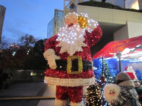 今夜はクリスマスイブ_b0177436_23412685.jpg