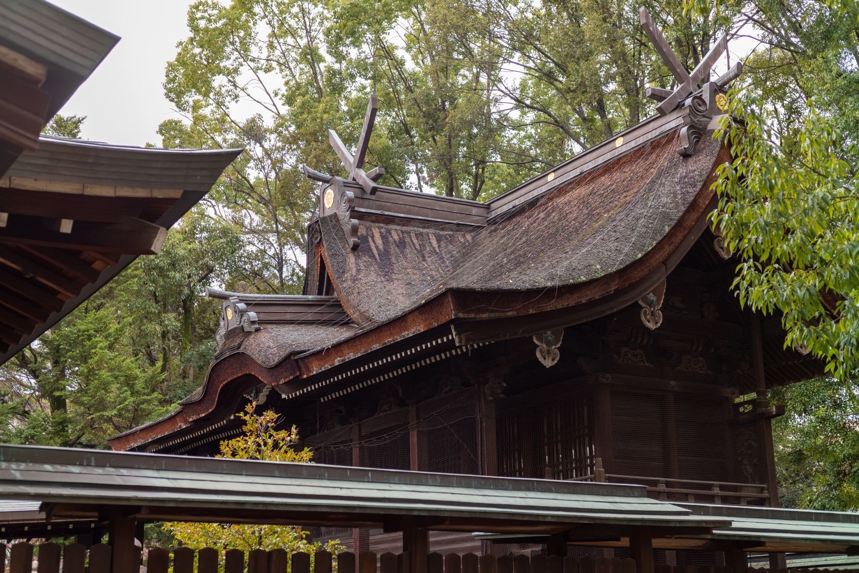 重要文化財 原田神社 本殿 アクセス 参拝のしかた情報 大阪府 豊中市 文化遺産見学案内所
