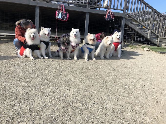 2019年12月 合同お誕生会オフ in Ven! Kitchen&Dog Garden その2_f0128542_01554919.jpg