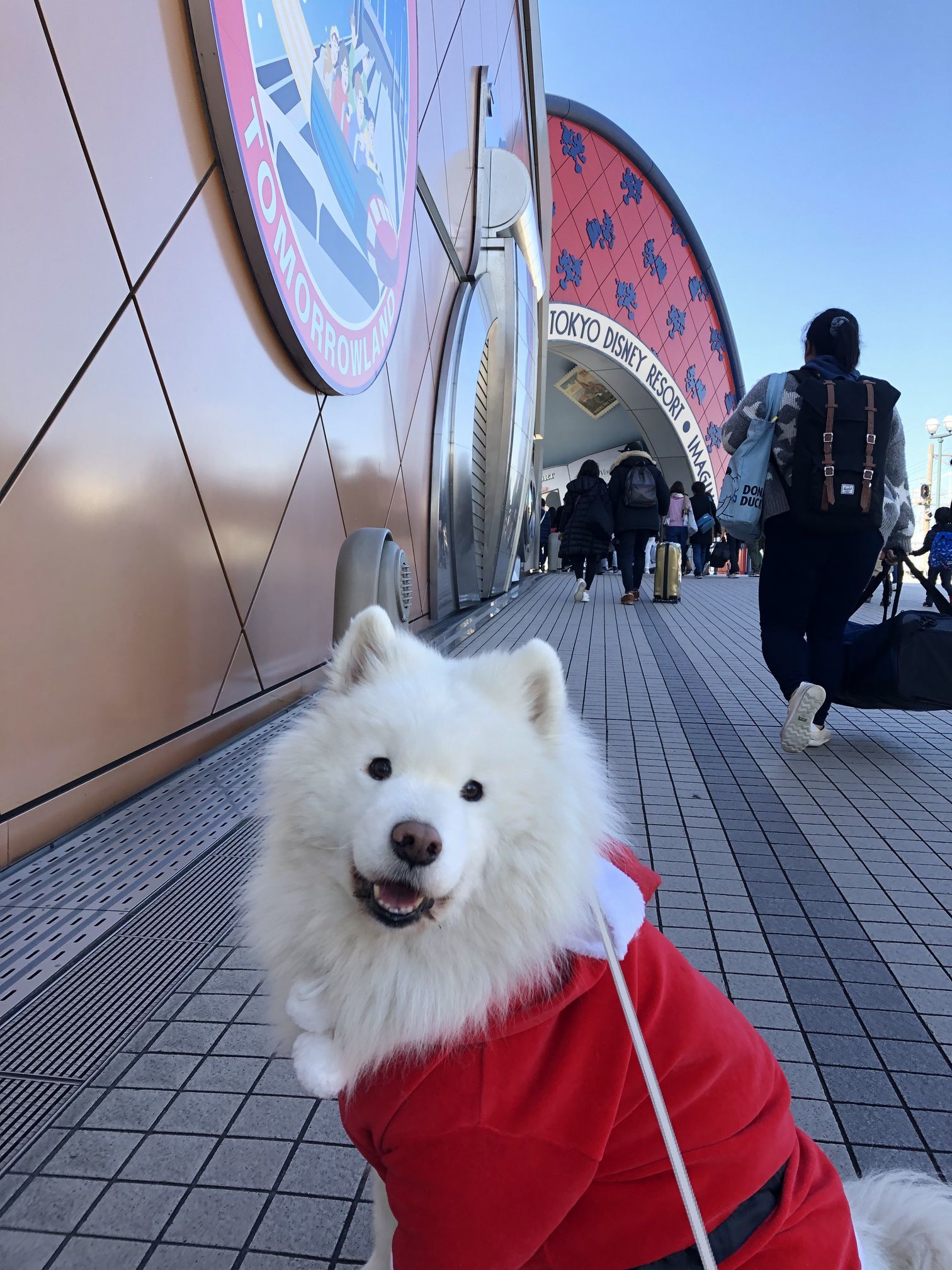 2019年12月 合同お誕生会オフ in Ven! Kitchen&Dog Garden その2_f0128542_02151703.jpg