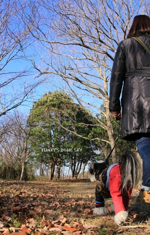 時にはオオカミ気分で♪^^_c0145250_11110348.jpg