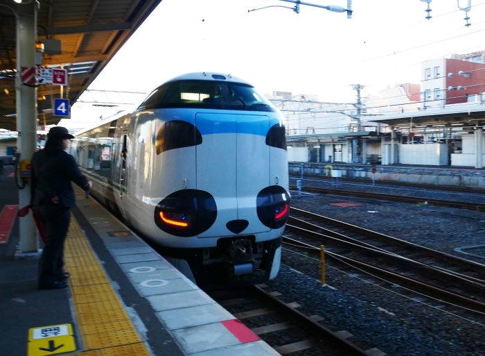 　　和歌山便り　　２０１９-１２-２８　００：００ 　 　 　　_b0093754_22095320.jpg