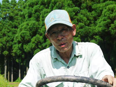 熊本の美味しいお米(七城米、菊池水源棚田米、砂田のれんげ米)大好評発売中!こだわり紹介 その2_a0254656_15032270.jpg