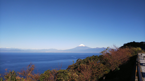 頑張った自分へのご褒美_f0043559_13972.jpg