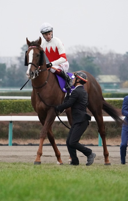 第64回有馬記念Ⅰ 史上最多GⅠ馬11頭が出走 アーモンドアイ