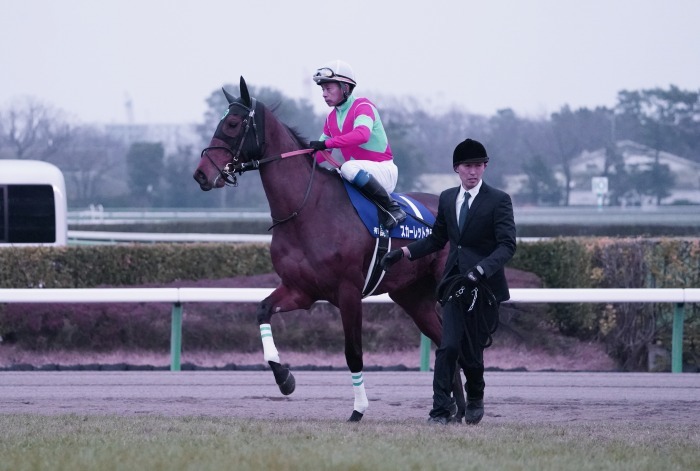 第64回有馬記念Ⅰ 史上最多GⅠ馬11頭が出走 アーモンドアイ