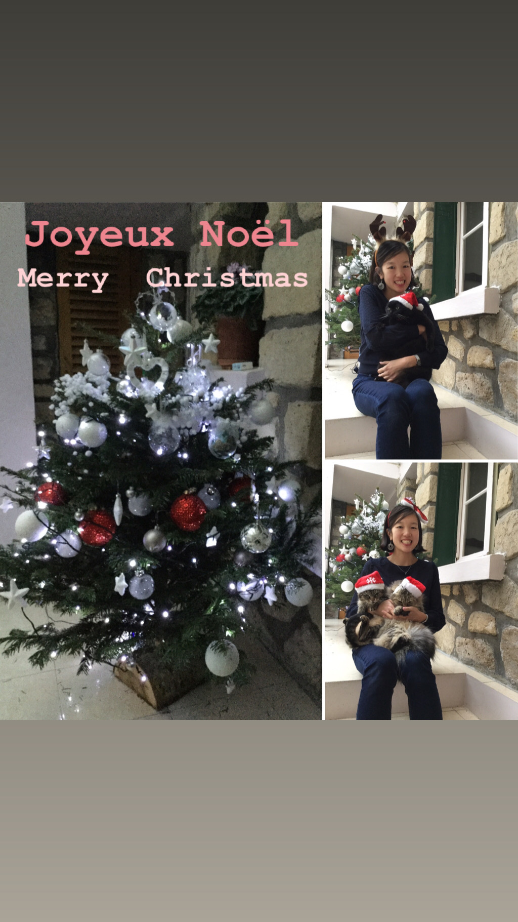 12月24日   メリークリスマス！_c0134071_01450325.jpeg