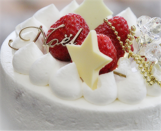 メリークリスマス!(あいの命日)_a0389088_17122581.jpg