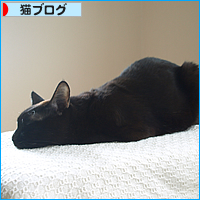 メリークリスマス!(あいの命日)_a0389088_17122627.jpg