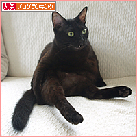 メリークリスマス!(あいの命日)_a0389088_17122672.jpg