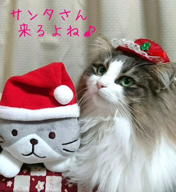 メリークリスマス ハッピーニューイヤー 吾作の榊原温泉たより メリークリスマス ハッピーニューイヤー 吾作の榊原温泉たより