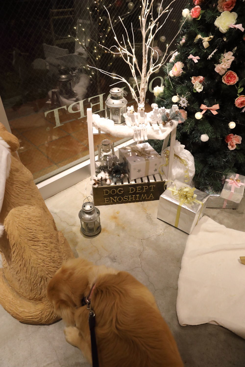メリークリスマス♪ハナ号♪_b0275998_22204458.jpg