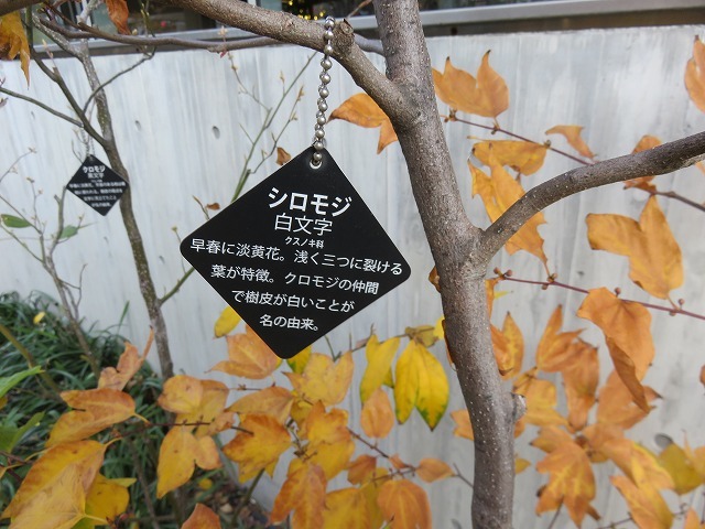 藤堂家上屋敷跡と伊藤伊兵衛(秋葉原散歩②)_c0187004_14255366.jpg