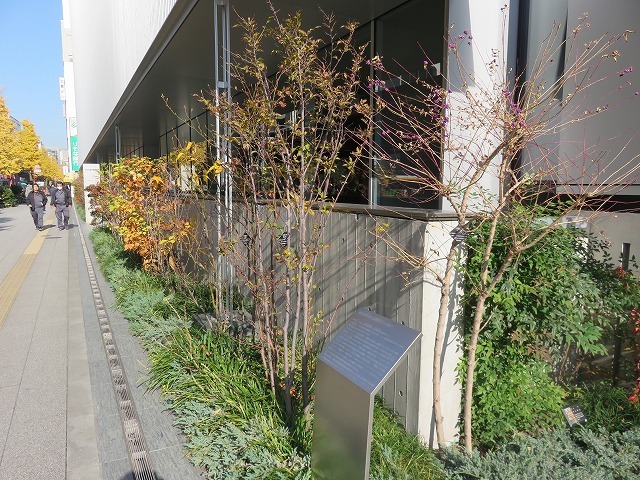 藤堂家上屋敷跡と伊藤伊兵衛(秋葉原散歩②)_c0187004_14255420.jpg