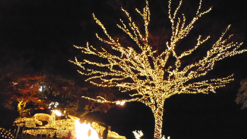 クリスマスイルミネーションを見に 城山観光ホテル編 霧島の森よりキルトとともに愛をこめて