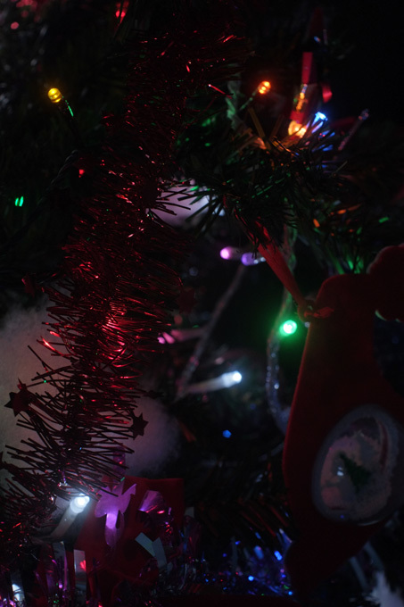 2019-12-25_c0136330_08424338.jpg