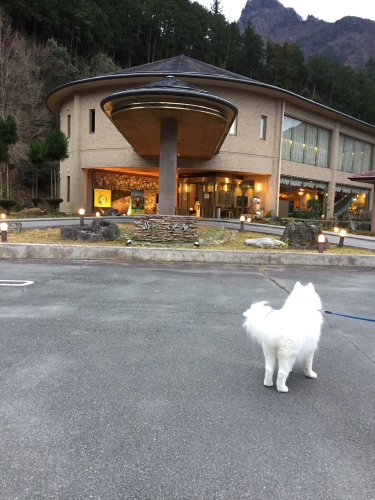 2019年12月三重旅行② 森のホテルスメール_e0052736_10225029.png