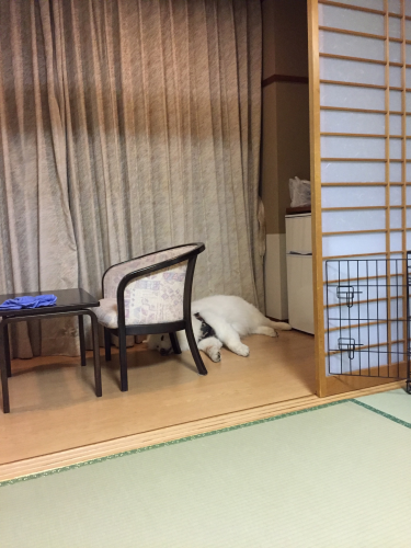 2019年12月三重旅行② 森のホテルスメール_e0052736_10435368.png