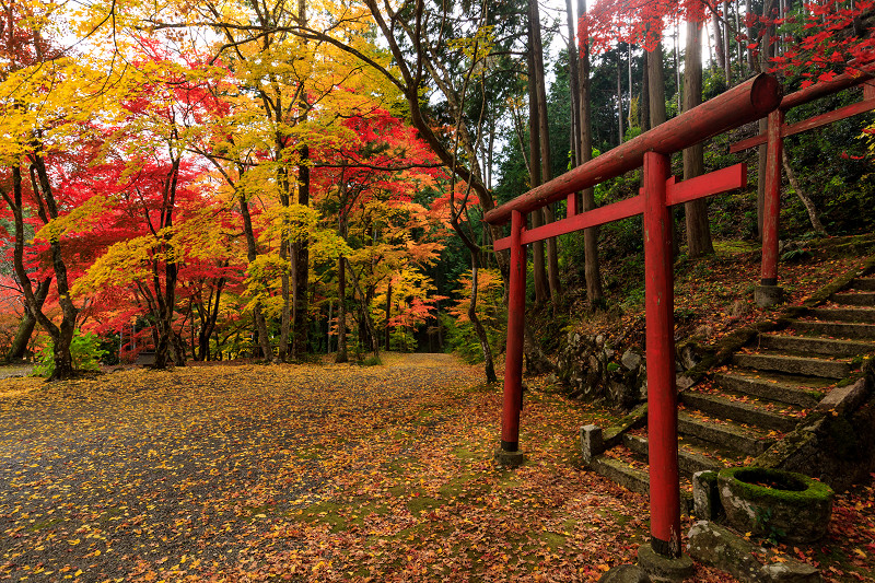 紅葉が彩る兵庫2019　艷秋_f0155048_16184650.jpg