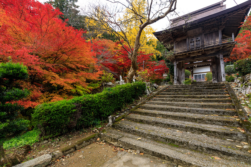 紅葉が彩る兵庫2019　艷秋_f0155048_16213566.jpg