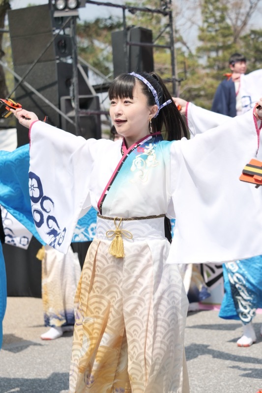 ２０１９京都さくらよさこい１日目神宮道スペシャルステージその３（夢源風人）_a0009554_21554754.jpg