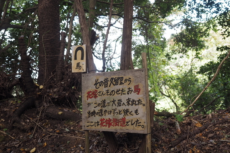 【追悼】フォレストパーティ峰山という別世界を創り出した小川オーナーとの思い出_b0008655_12083851.jpg
