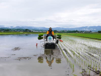 熊本の美味しいお米(七城米、菊池水源棚田米、砂田のれんげ米)大好評発売中!こだわり紹介 その3_a0254656_18301275.jpg