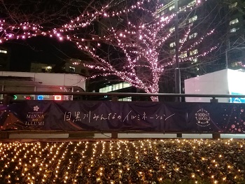 目黒川みんなのイルミネーション2019_a0061057_022847.jpg