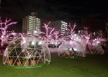 目黒川みんなのイルミネーション2019_a0061057_027254.jpg