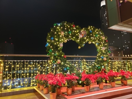 Christmas in YOKOHAMA_a0168274_21395016.jpg
