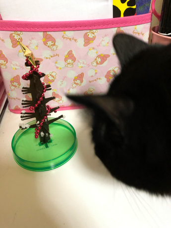 間に合ったクリスマスツリー_e0355177_12540801.jpg