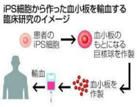《 高いアメリカ合衆国の医療費 》_c0328479_20213897.jpg