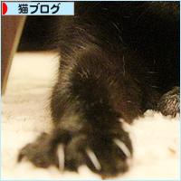 ぴょんと、はじめて出会った日_a0389088_17581812.jpg