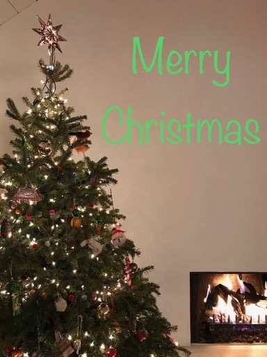 メリークリスマス やせっぽちソプラノのキッチン2 メリークリスマス やせっぽちソプラノのキッチン2