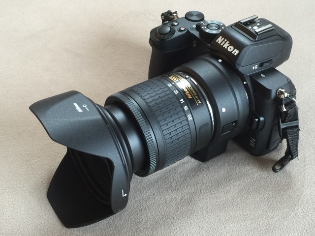 AF-P DX NIKKOR 10-20mm f/4.5-5.6G VR : カワセミ王国