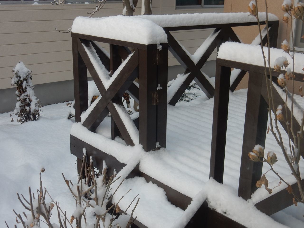 雪が積もるとホッとします_c0025115_21305555.jpg