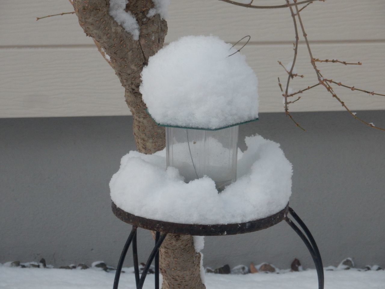 雪が積もるとホッとします_c0025115_21392774.jpg