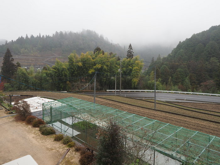 雨の一日_c0116915_23371987.jpg