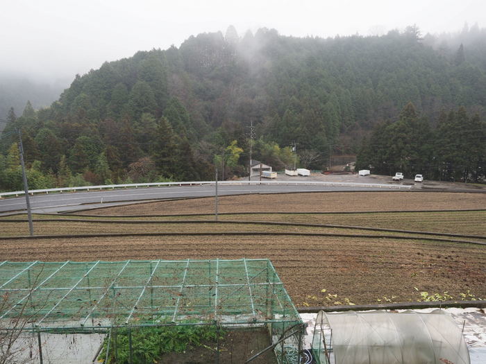 雨の一日_c0116915_23373240.jpg