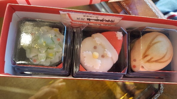 うれしい再会⭐_f0126121_21521955.jpg