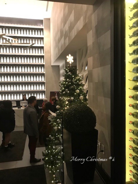 小トラのクリスマスの朝は、、、。_d0269832_20551205.jpeg