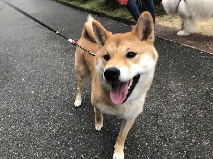 2019年10月後半 インスタ写真集 その2_f0128542_13512114.jpg
